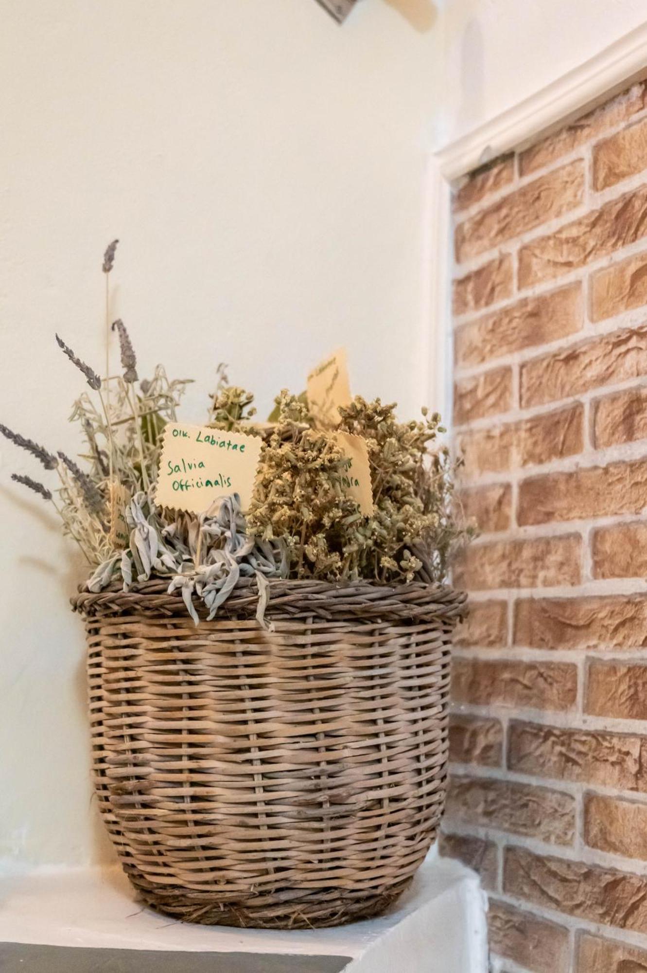 Golden Nest Βίλα Χανιά Εξωτερικό φωτογραφία